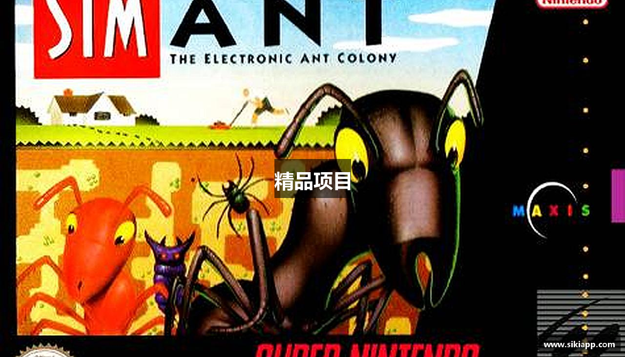 精品项目